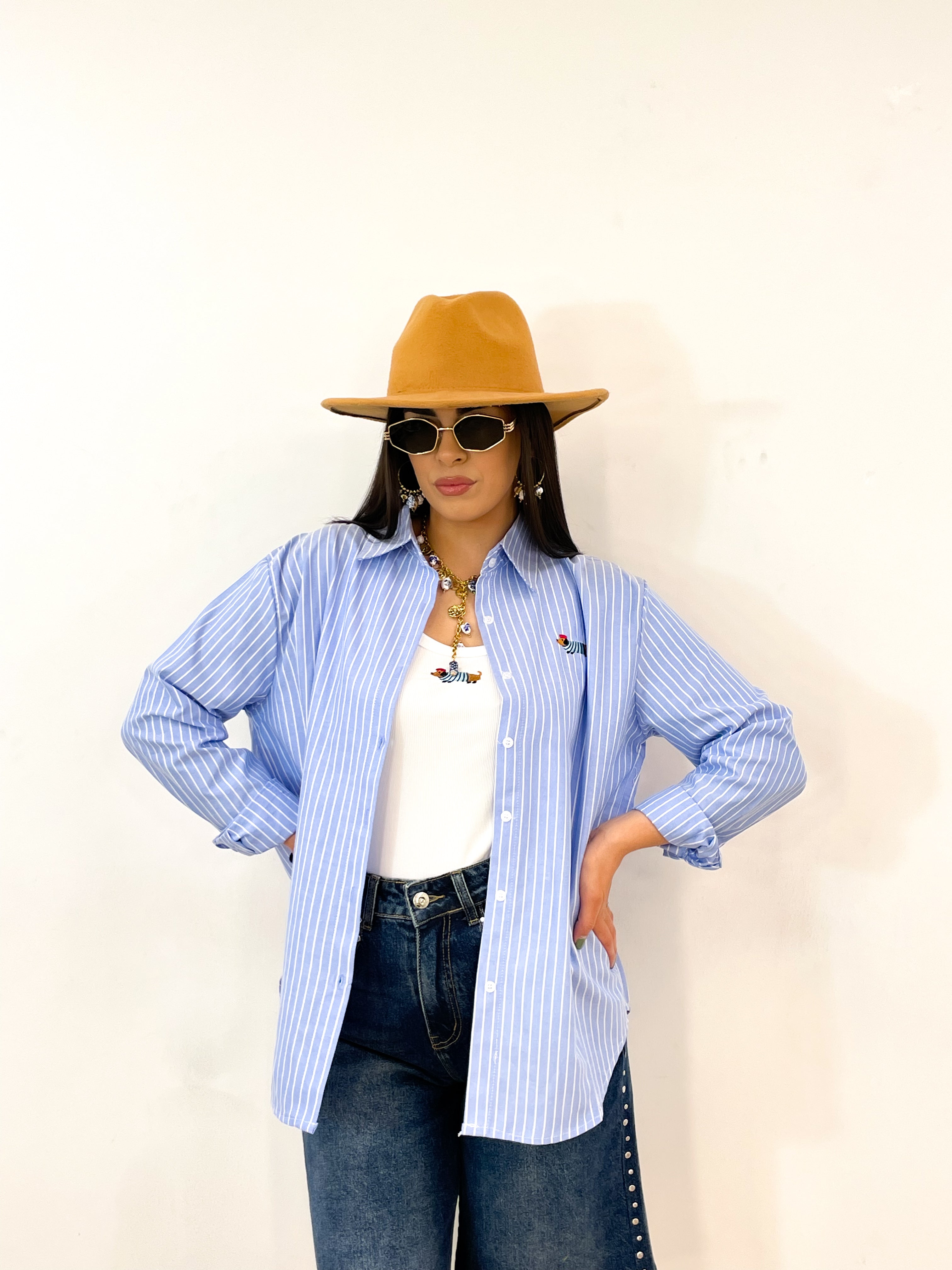 Camicia DOGGY+TOP azzurra